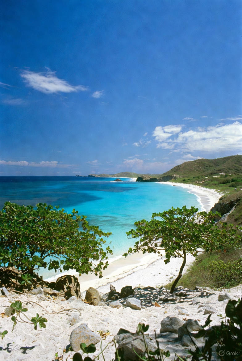 Insula Margarita, nod esențial în traficul de droguri