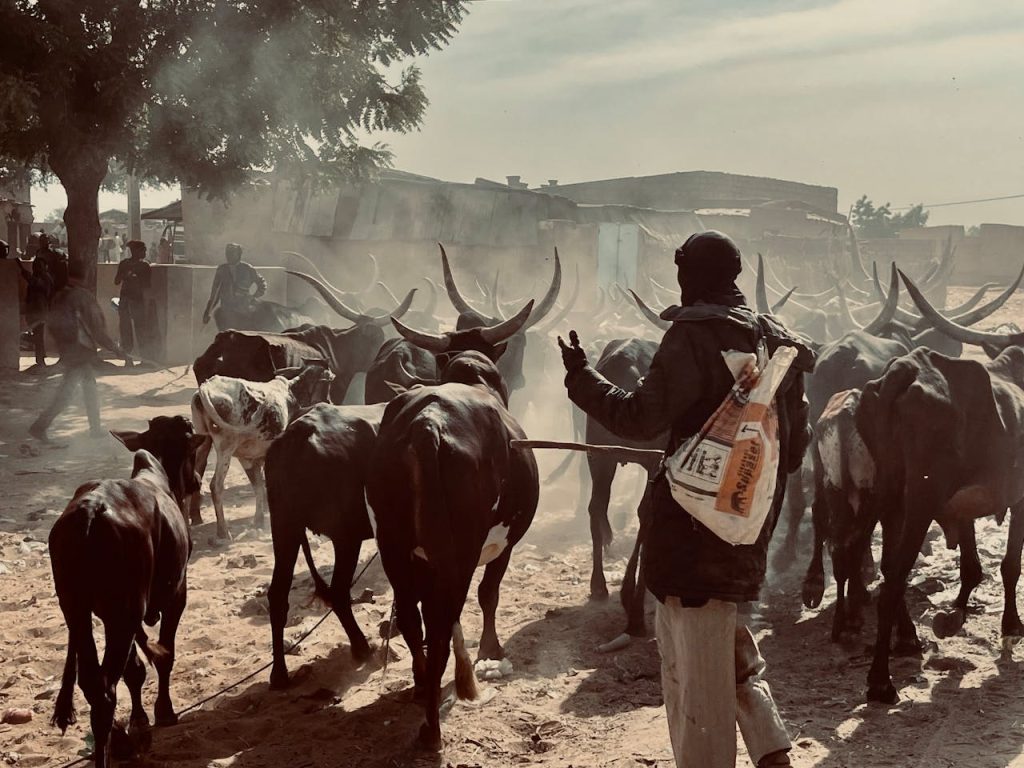 Zamfara, Nigeria: masacrul „anunțat” care arată falimentul securității și miza SUA