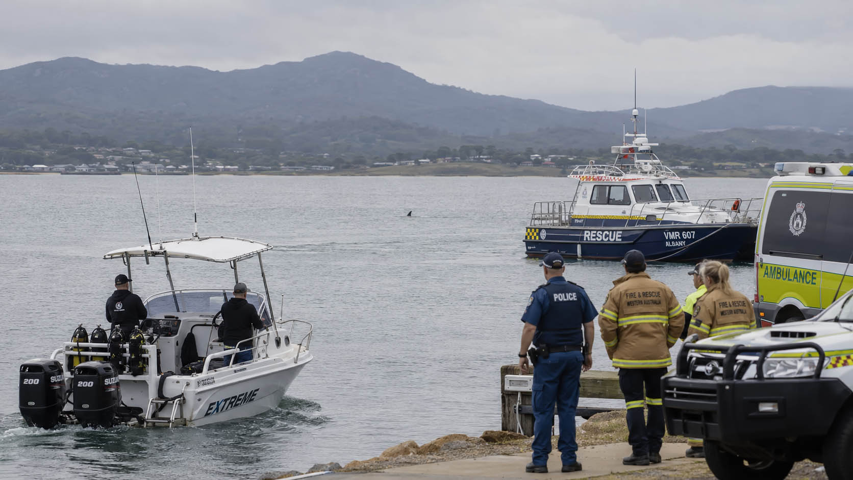 Bărbat de 35 de ani a murit după un atac de rechin lângă în Australia, lângă Albany